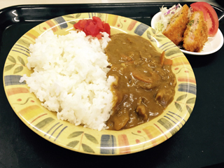 ハンバーグカレープレート