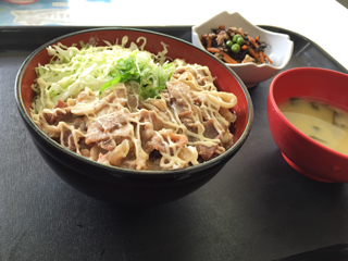 エビ天卵とじ丼