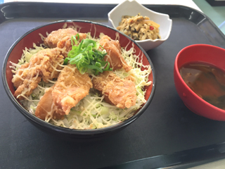 ロコモコ丼