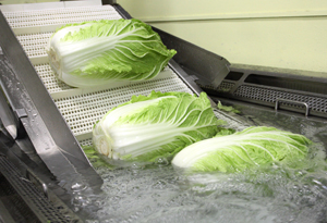 野菜専用洗浄器